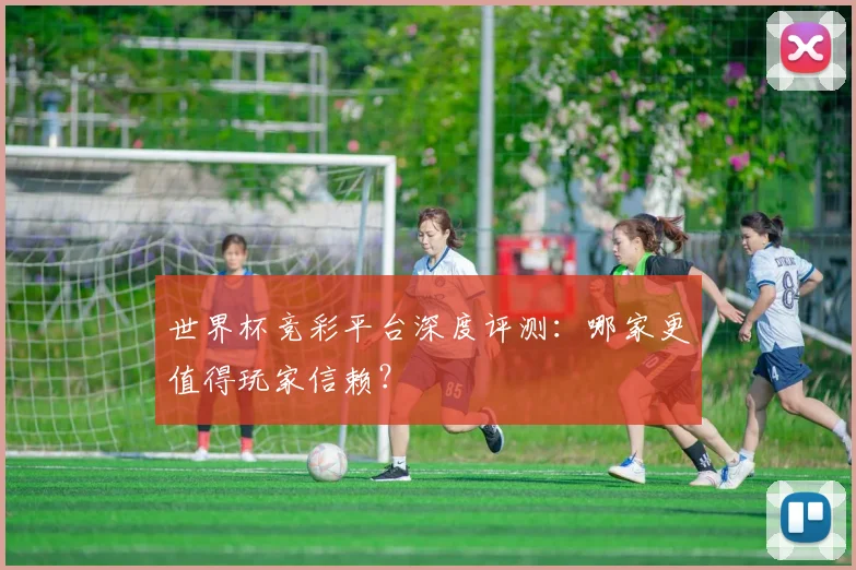 世界杯竞彩平台深度评测：哪家更值得玩家信赖？