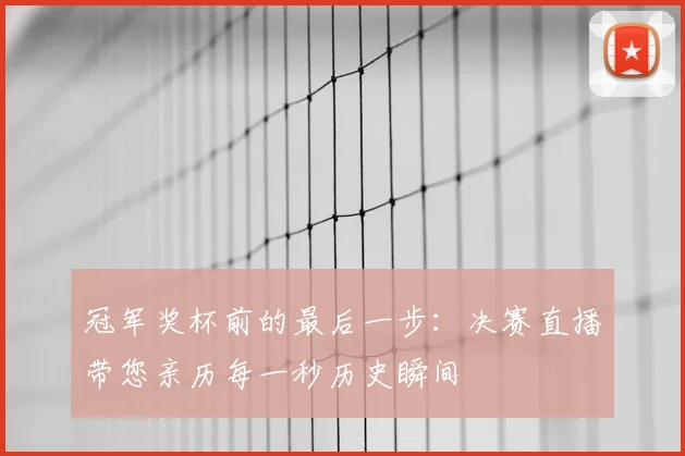 冠军奖杯前的最后一步：决赛直播带您亲历每一秒历史瞬间