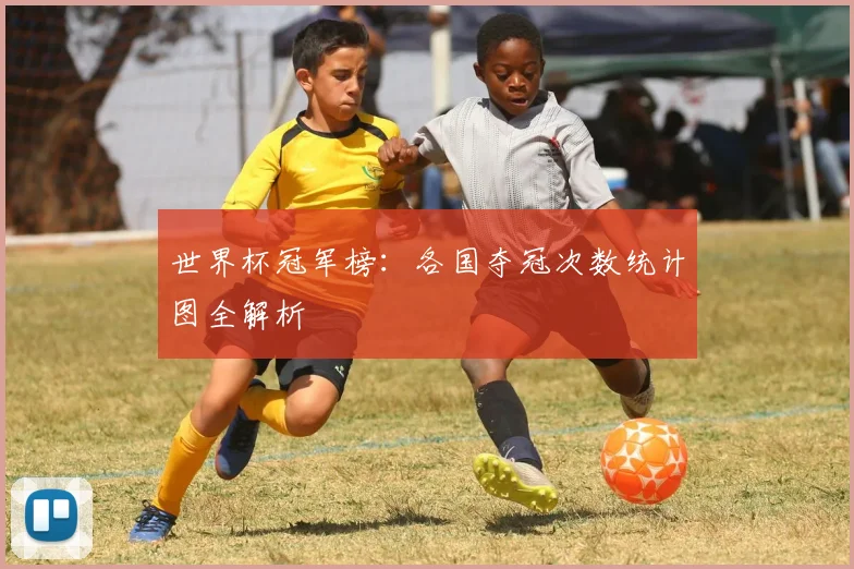 世界杯冠军榜：各国夺冠次数统计图全解析