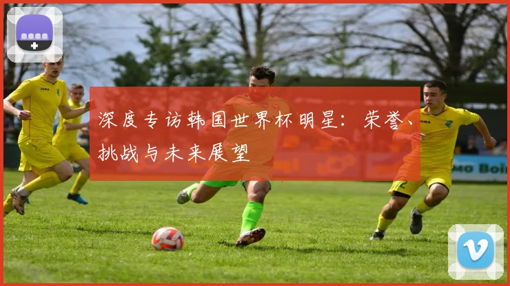 深度专访韩国世界杯明星：荣誉、挑战与未来展望