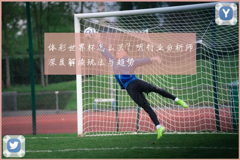 体彩世界杯怎么买？听行业分析师深度解读玩法与趋势