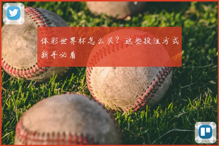 体彩世界杯怎么买？这些投注方式新手必看