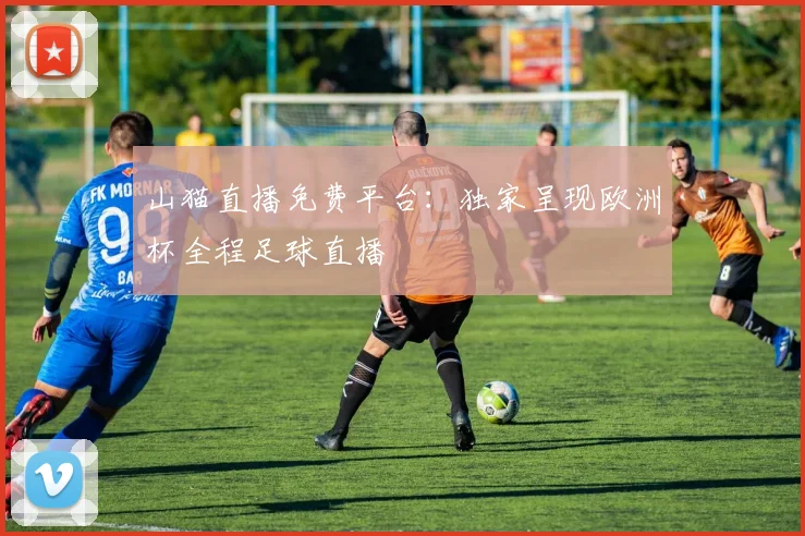 山猫直播免费平台：独家呈现欧洲杯全程足球直播