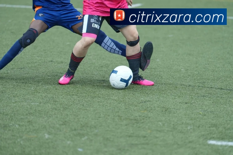 emc易倍官网发展历程